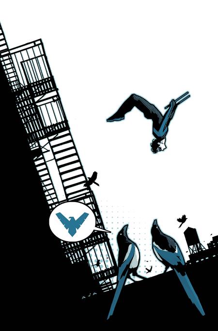 Cover of Nightwing #146 CVR B David Aja Card Stock VAR, cover art by David Aja