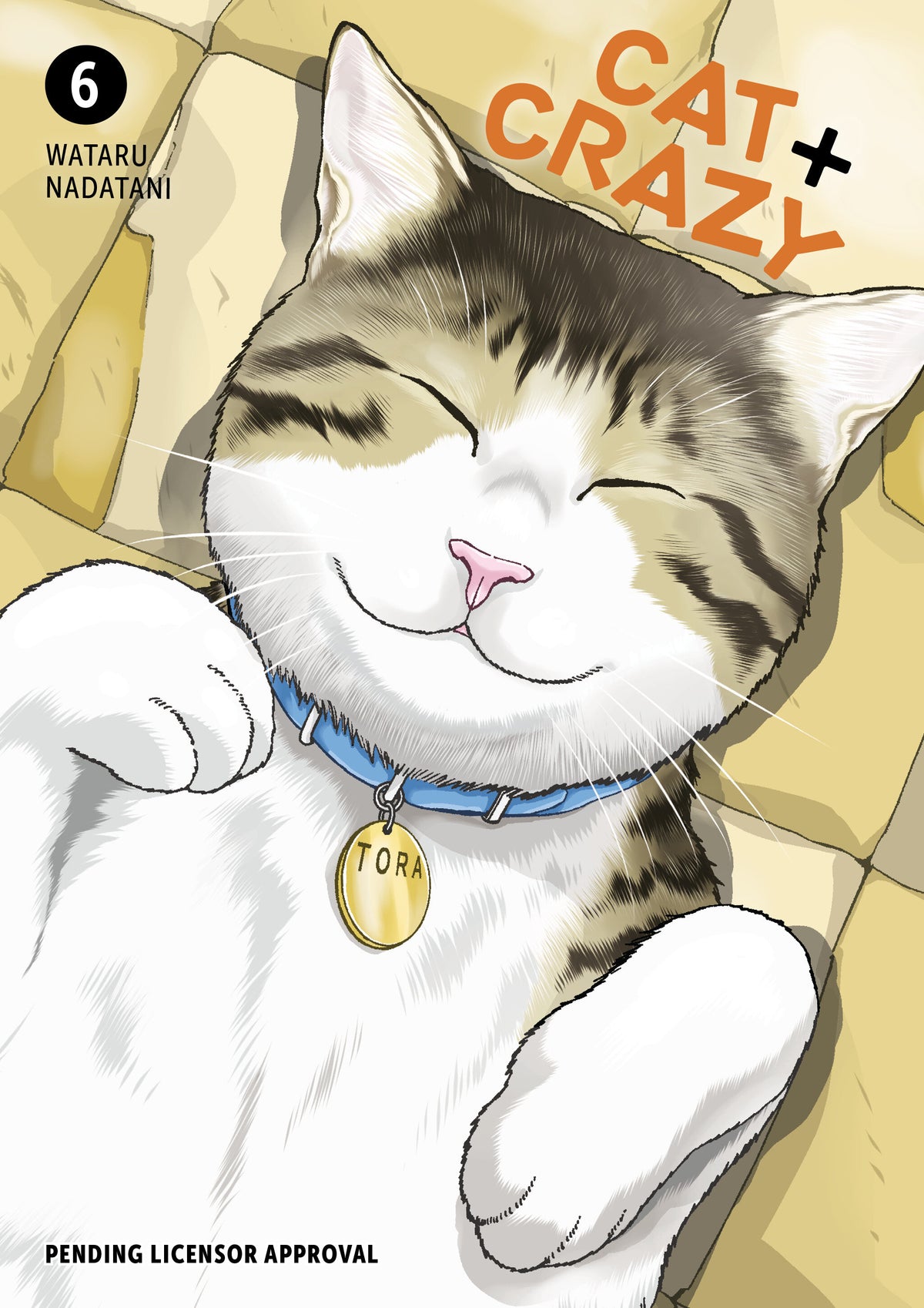 Cover of Cat + Crazy Volume 6