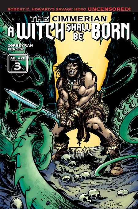 Cover of Cimmerian A Witch Shall Be Born #3 (Of 3) CVR B Jay VAR (MR), cover art by Jay