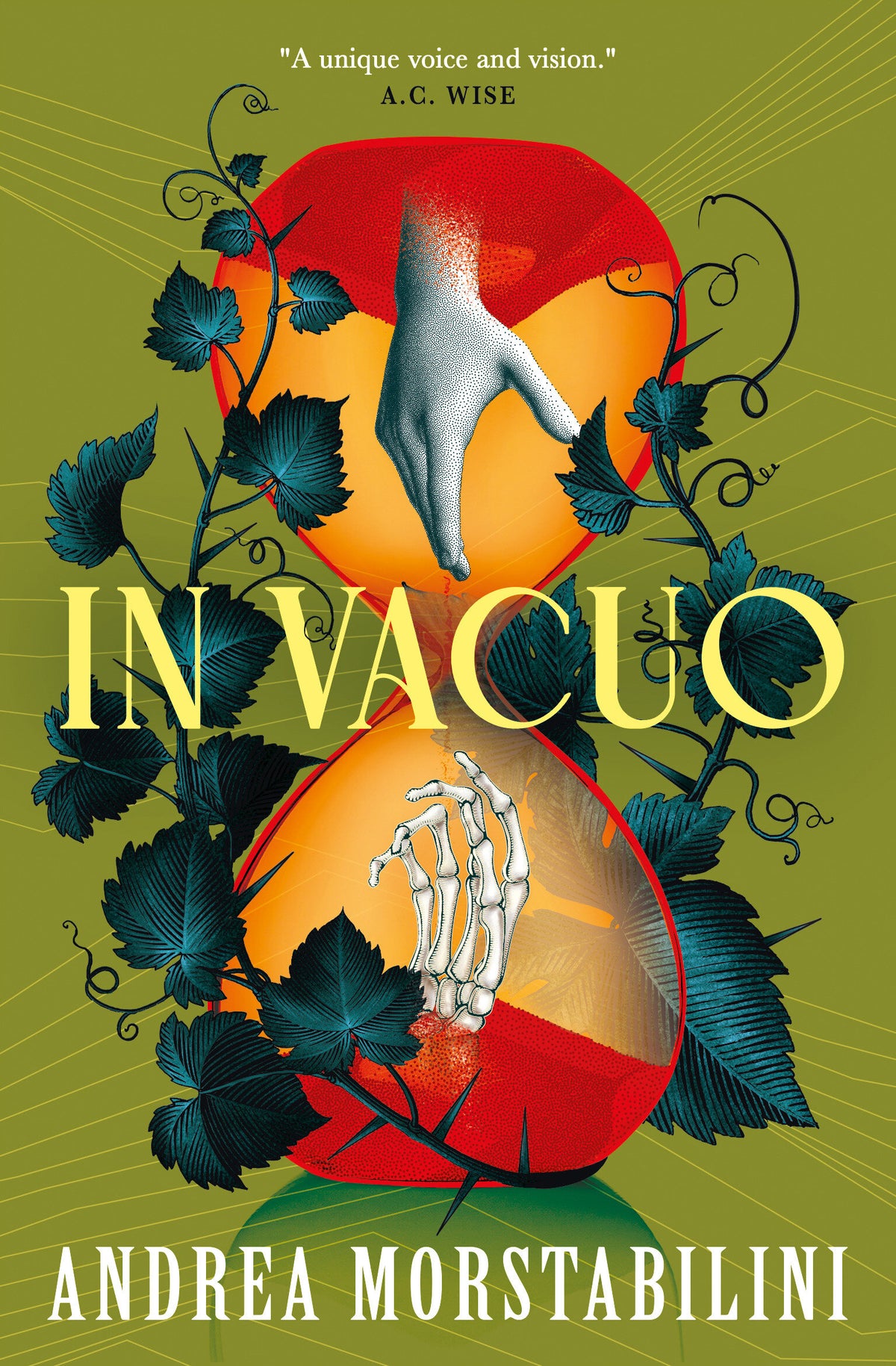 Cover of In Vacuo