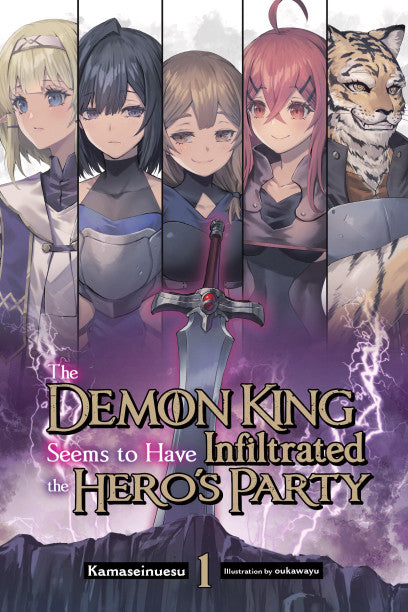 The Demon King Seems to Have Infiltrated the Heros Party Vol 1 light novel