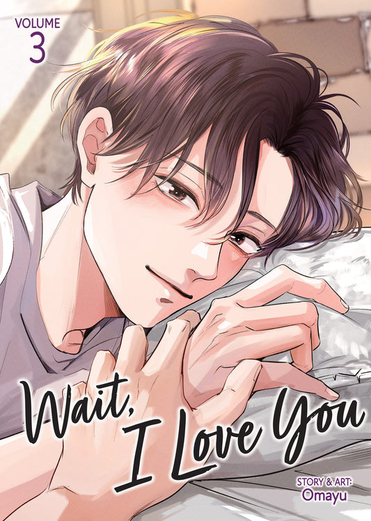 Cover of Wait, I Love You Vol. 3